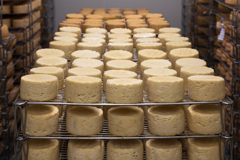 Blue Cheese Pairing
